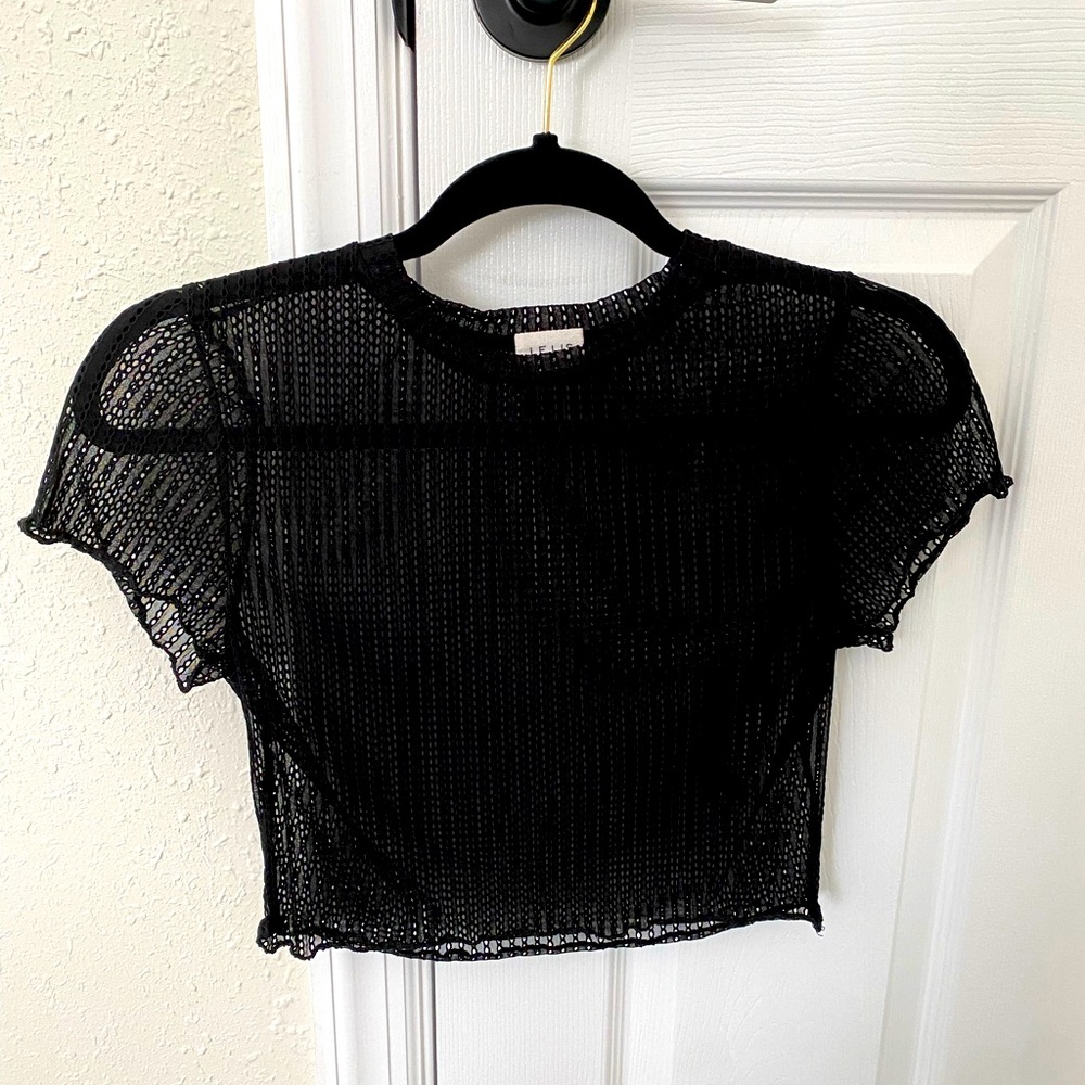 Lelis Collection Mesh Crop Top